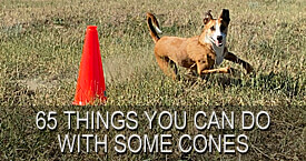 https://www.cleanrun.com/product/65_things_you_can_do_with_some_cones_self_study_course/index.cfm